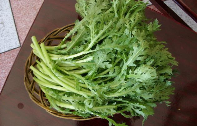 冬天可以栽茼蒿吗 92fe9551d6734908bfe78d1f3f76d742.jpeg