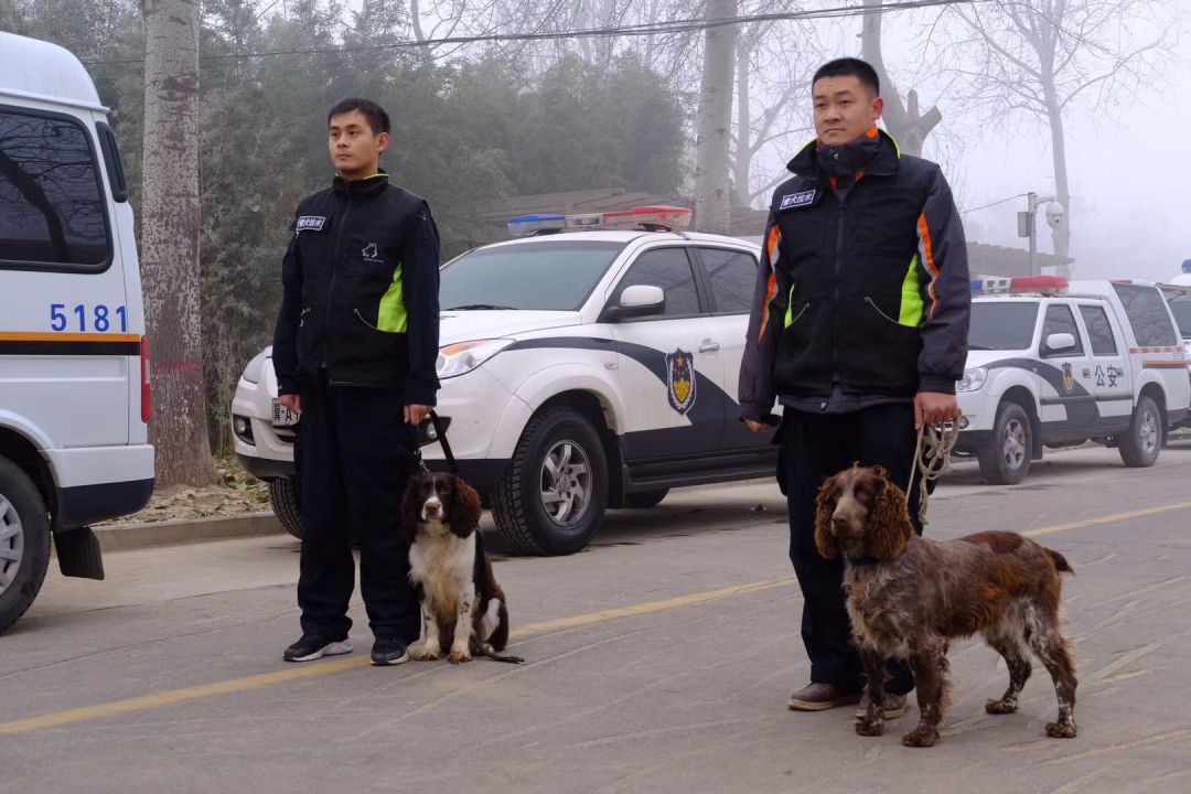 活动一开始,石家庄市公安局负责警犬训练的警官,首先介绍了基地现有