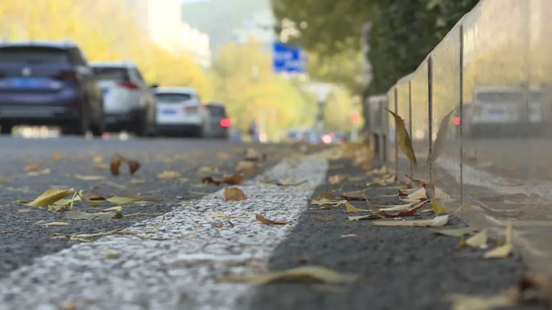 熟悉的陌生人完整版免费观看原片 9c5b7c2d83a84144bc2c4f18bd961788.jpeg