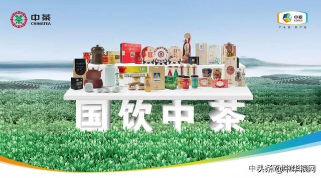 文章配图-19