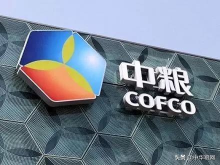 文章配图-2