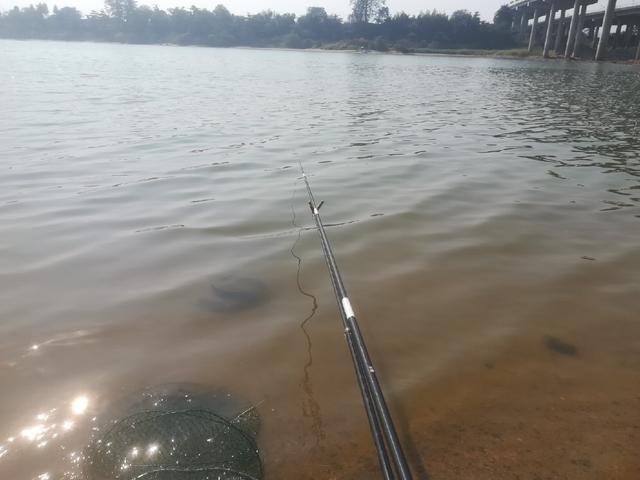 什么时候调平水什么时候半水 a971ac2214964ed4a4ab0881ab3adb00.jpeg