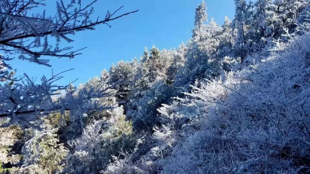废话不多说 有图有真相寿宁坑底乡长岗头迎来今冬第一场雪下雪啦!