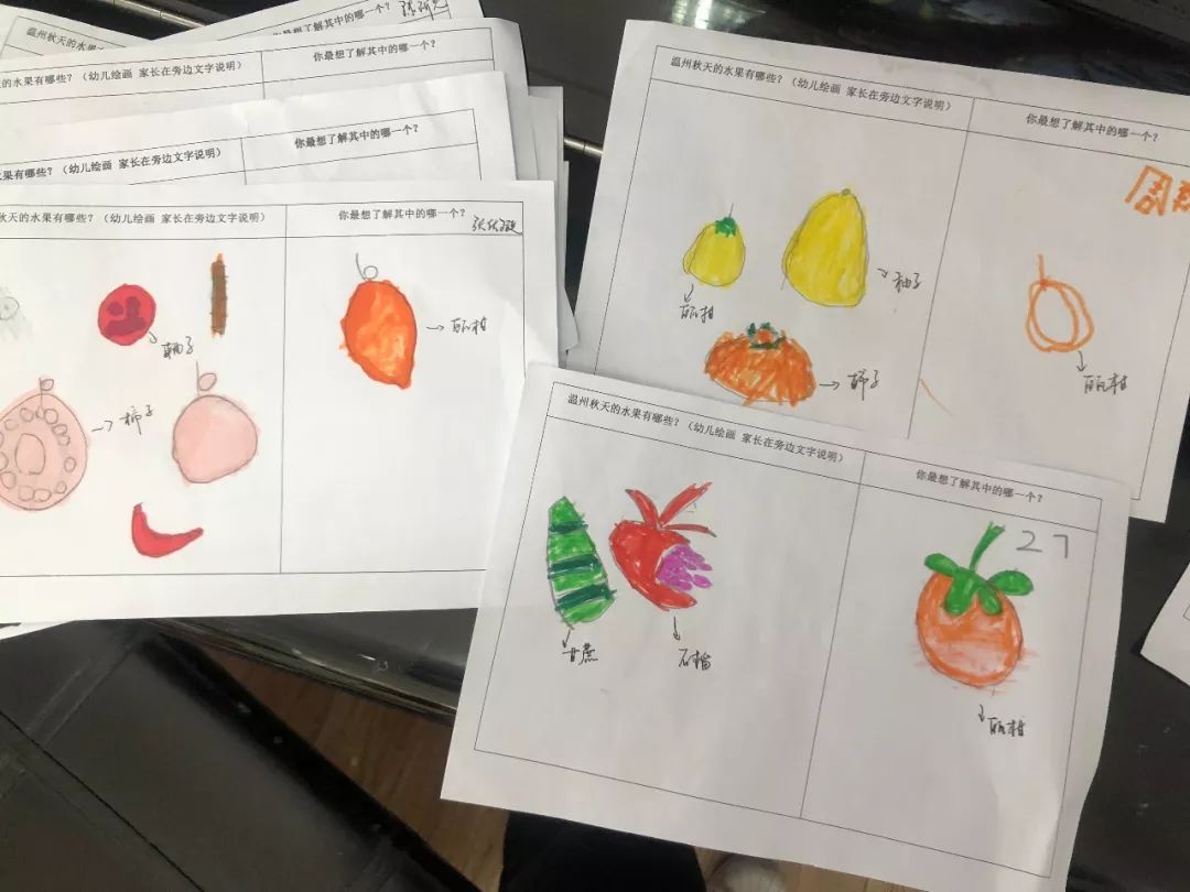 调查统计,大部分孩子想了解瓯柑,桔子,柚子,甘蔗,石榴,于是他们进行了