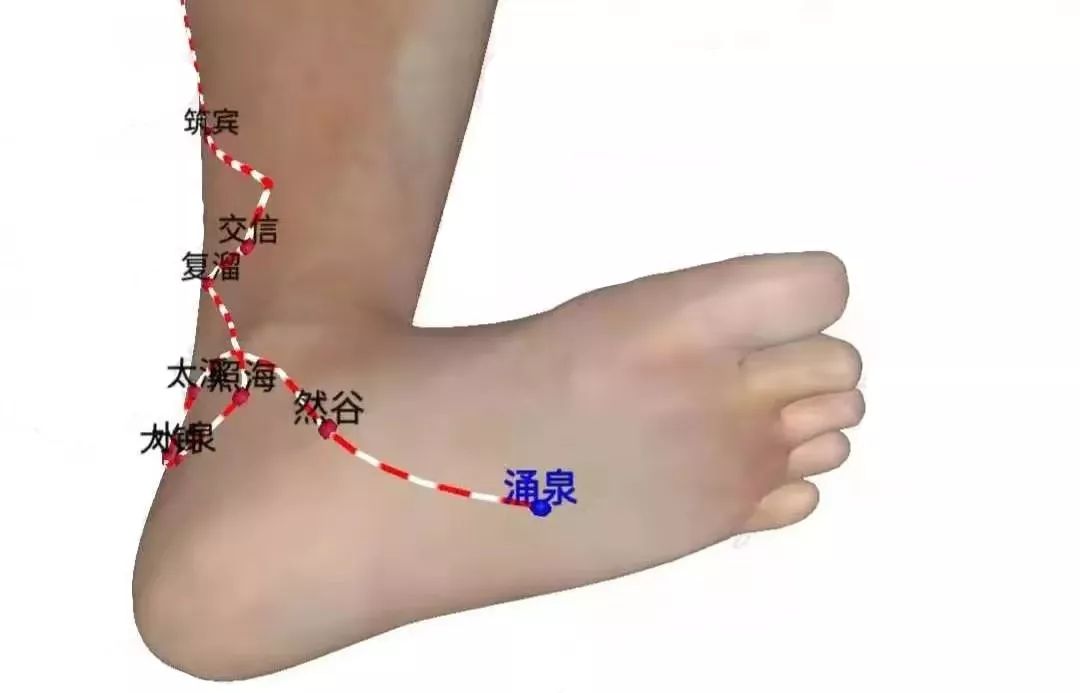 涌泉穴在足底穴位,位于足前部凹陷处第2,3趾趾缝纹头端与足跟连线