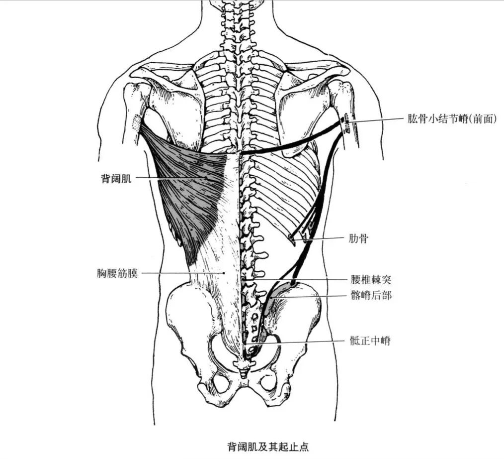 cf6e81051cfc420e97897994291fc74e.jpeg
