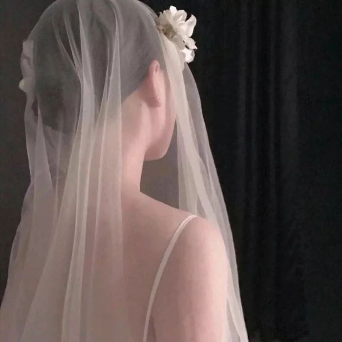 婚纱背影图片拖尾图片_婚纱背影图片(2)