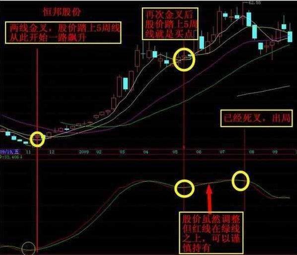 db70125ced4b44739277c6971a8334e0.jpeg
