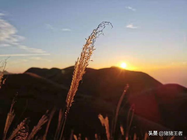 df5f920d45014069836cc0c5e2010f2b.jpeg