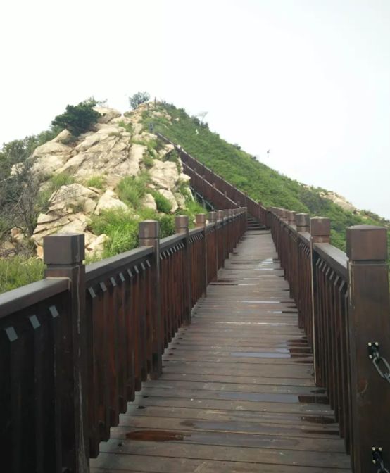 里口山登山健身步道成长记