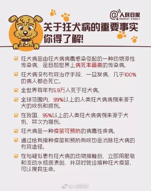 【可怕】被愛犬舔了一口，死了！病因竟不是狂犬病… 寵物 第16張