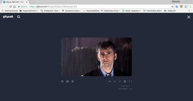 下图是我刚刚将图片上传到 gfycat 网站的截图.