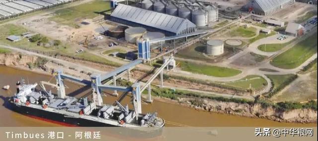 文章配图-6