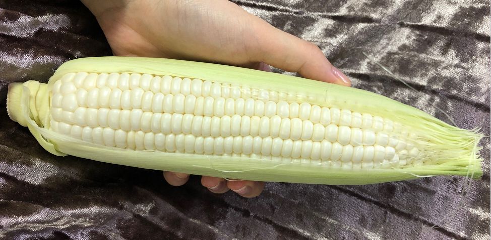 f73746e1d3ab4ea1b951e9305b88d67c.jpeg