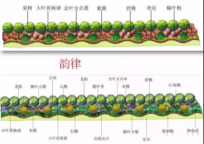 环球360APP园林绿化及园林绿化施工全解(图17)