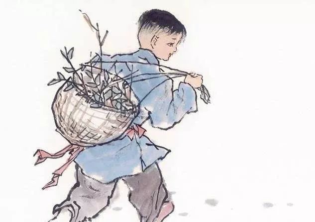 放羊的故事(今年火爆的文章)