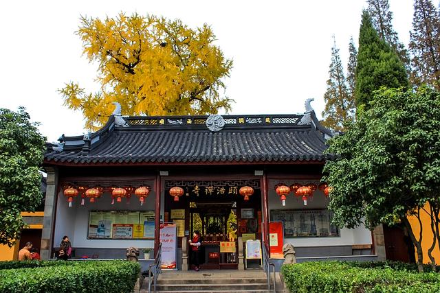 颐浩禅寺,曾经的江南最牛寺院,南宋一棵银杏美了700多年_金泽