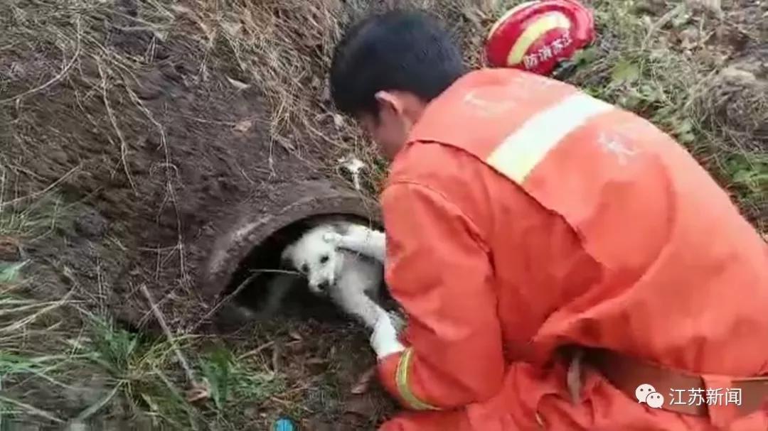 搭捕怎么读_日本捕绳术怎么绑