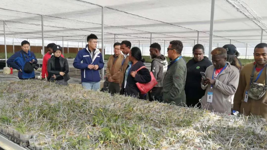 所罗门群岛经济总量是多少_所罗门群岛