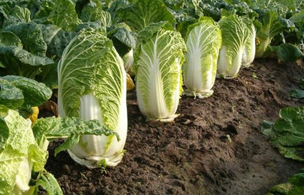 2cbcd7587cee4149bd34b4deee01f60c.png