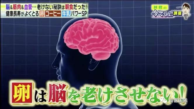 日本研究破解鸡蛋高胆固醇迷思！天天吃可减肥、护肝、防老人痴呆！