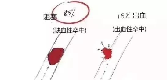 4500c0ddf7df4ae3ad207f3a3277b9f3.jpeg