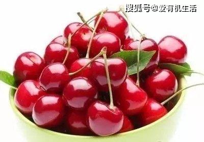 4e33dbbdd04e43f792986cfc3f5cd457.jpeg