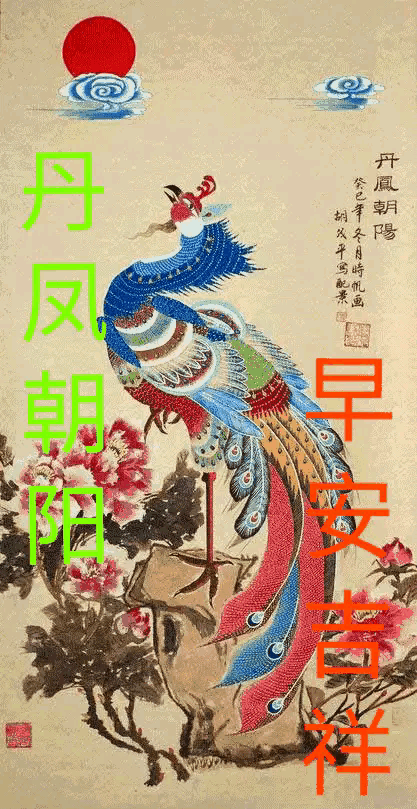 早安吉祥,丹凤朝阳,吉祥好运随心而来