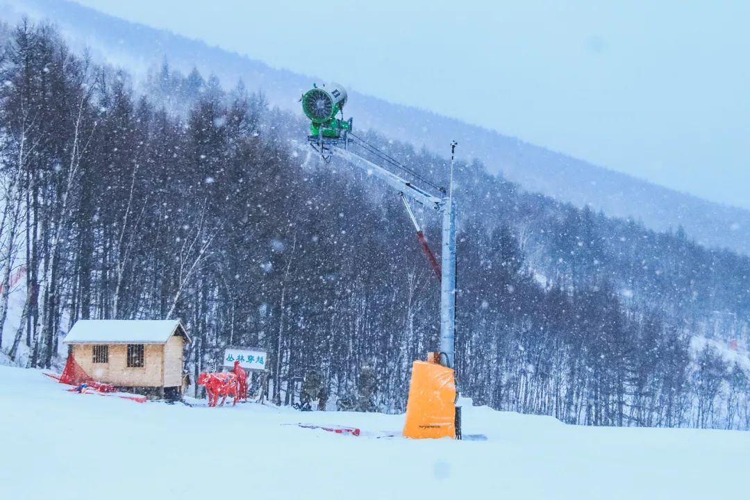 12.10雪况|迎着雪花一起滑向2022!