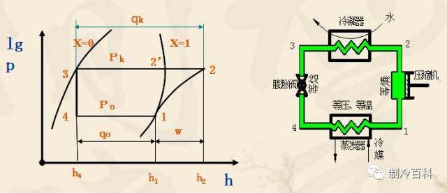 冷冻原理 什么循环_冷冻扁平疣是什么原理