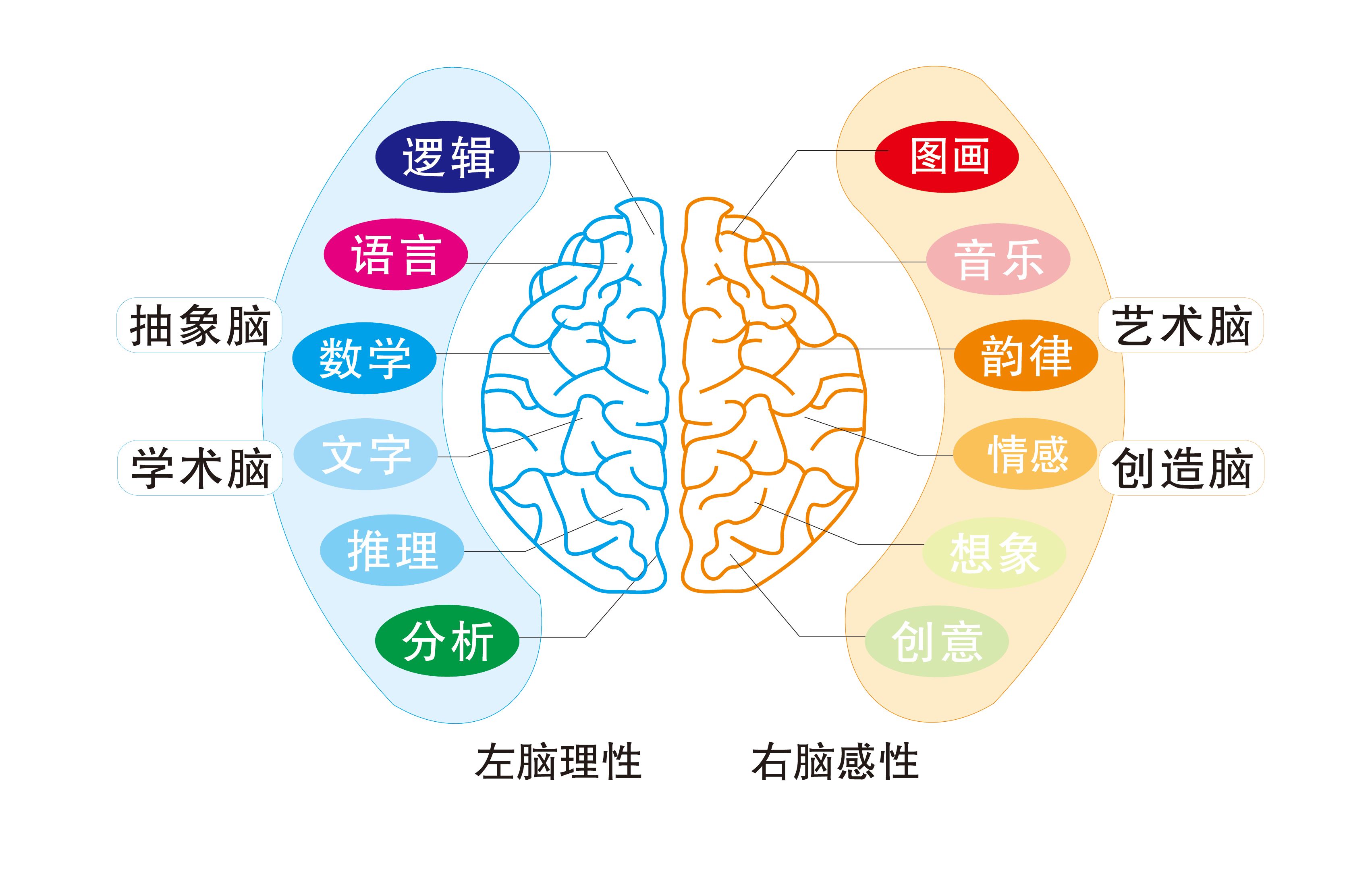 北京师范大学认知神经科学与学习国家重点实验室