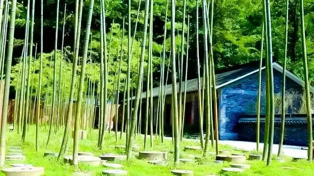 梦回竹影，解读梦见竹竿上摆糖的深层寓意