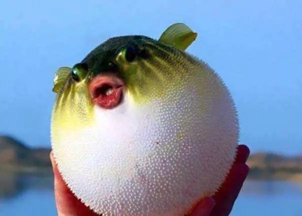 7d06bed0e3d842ab88d662e031387da9.jpeg