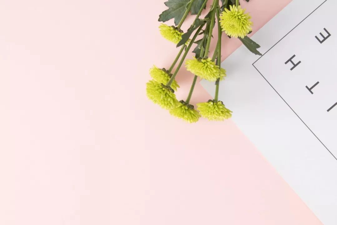 白菜和一个成功的成字猜一成语_失败和成功的图片带字(3)