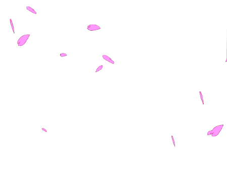 Gif透明背景动态素材 Gif透明背景动态素材画法