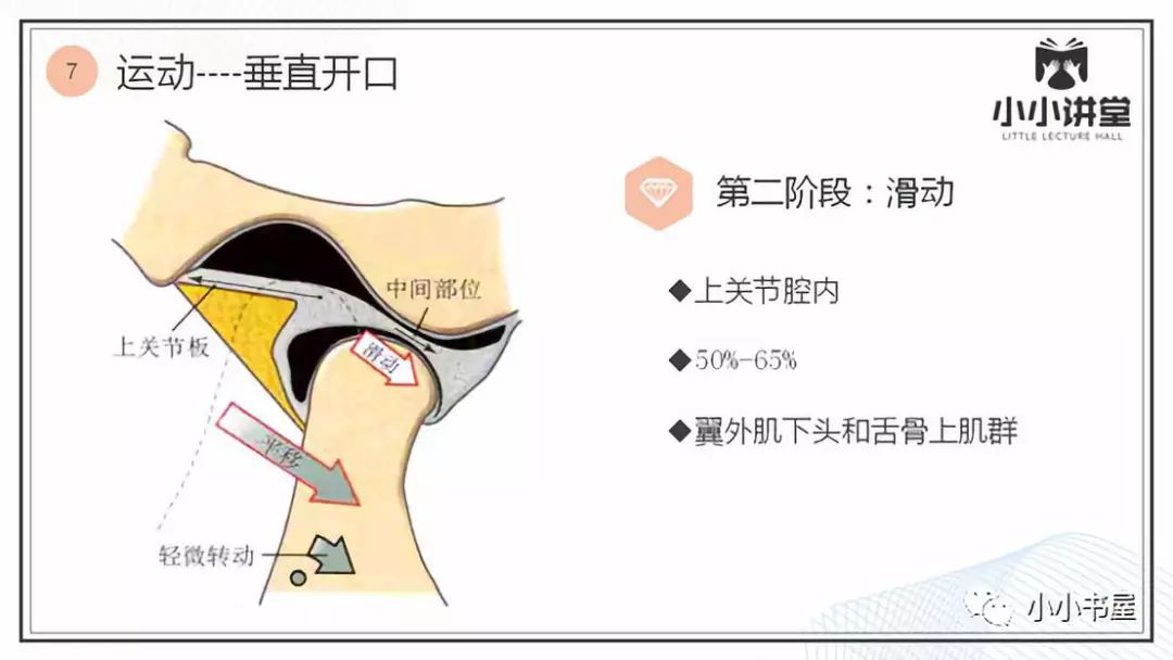 小小讲堂颞下颌关节二