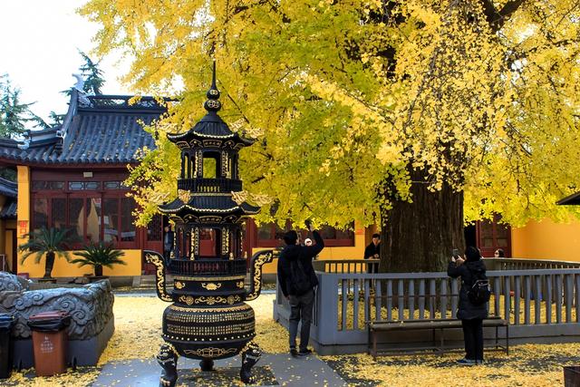 颐浩禅寺曾经的江南最牛寺院南宋一棵银杏美了700多年