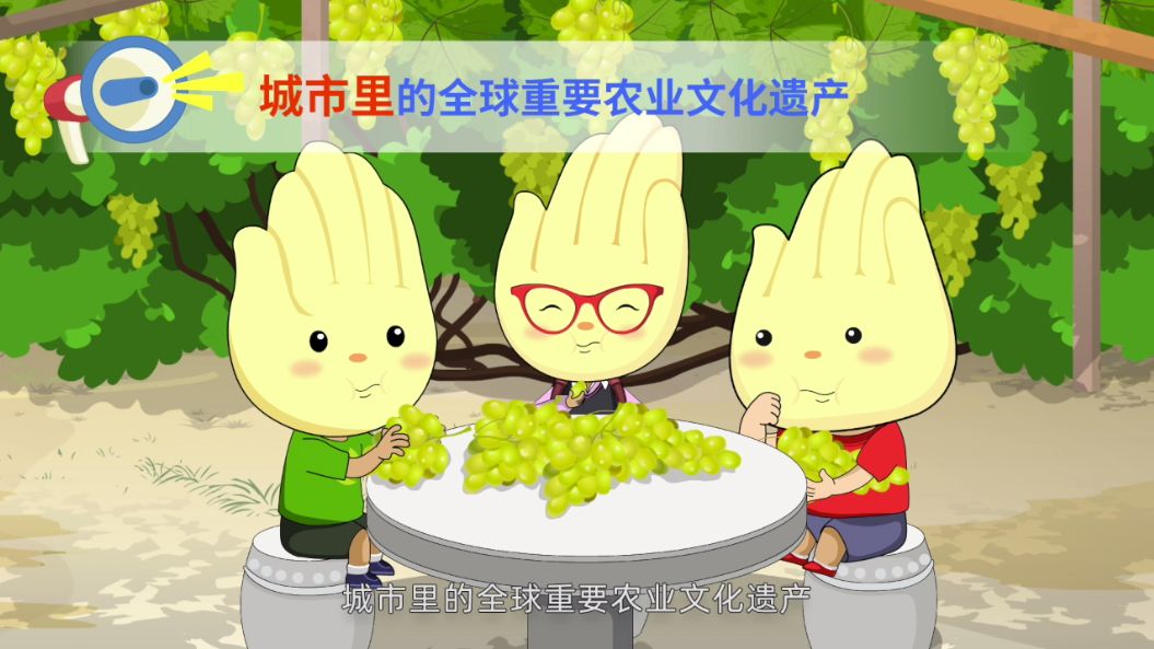 农遗系列科普微动漫河北宣化传统葡萄园