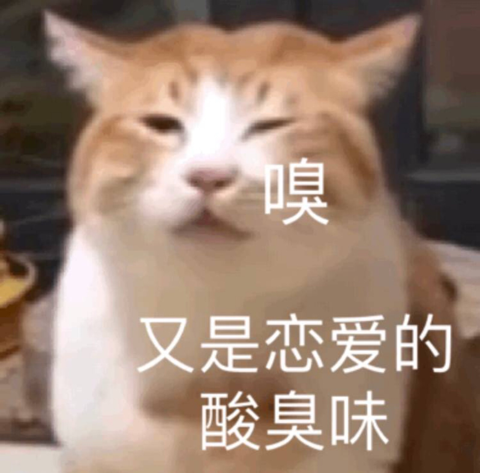 ae7f36890dd4494e9ef2f8ff5d9b5b29.jpeg