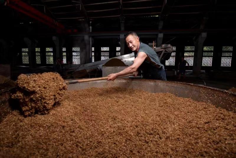 泸州蜀泸酒业有限公司铲酒糟的工人正在上甑