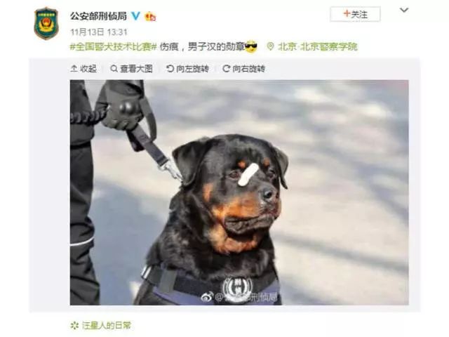 来自全国各个地区的警犬基地及交通等等个机关28支代表队160名队员携