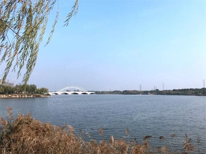 我为揽湖上城湖景公园的生态代言 金水湖公园旁,尽享美景与鲜氧,好