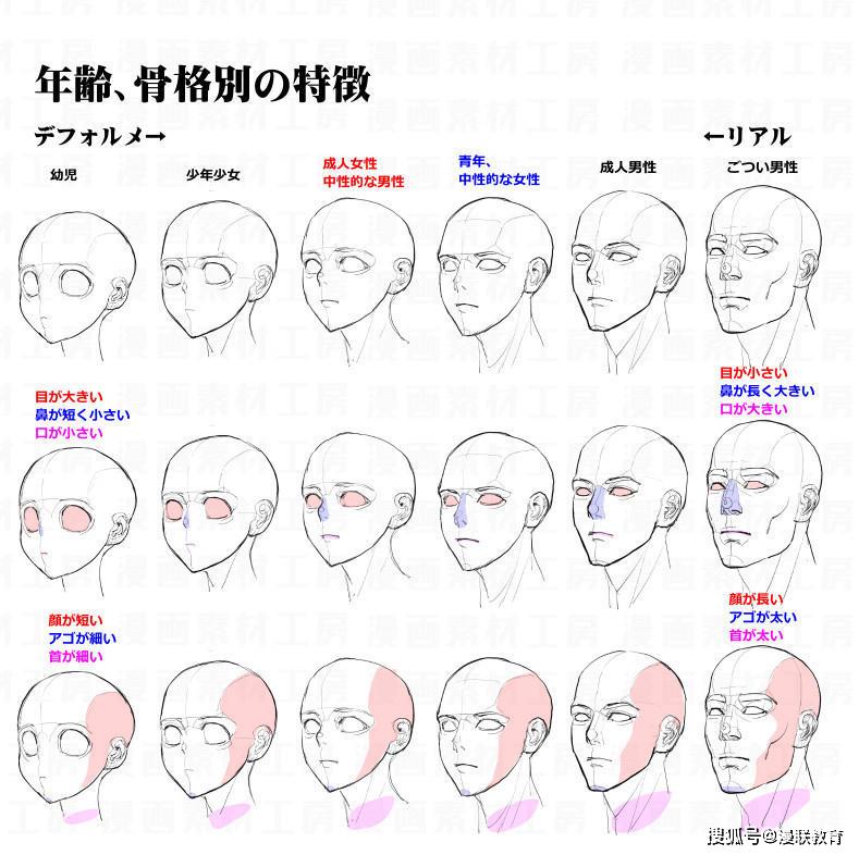 教程多角度绘制不同年龄性别角度头部专业绘画课程