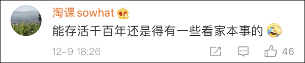 「地震了，我是國寶我不能出事！」 寵物 第4張