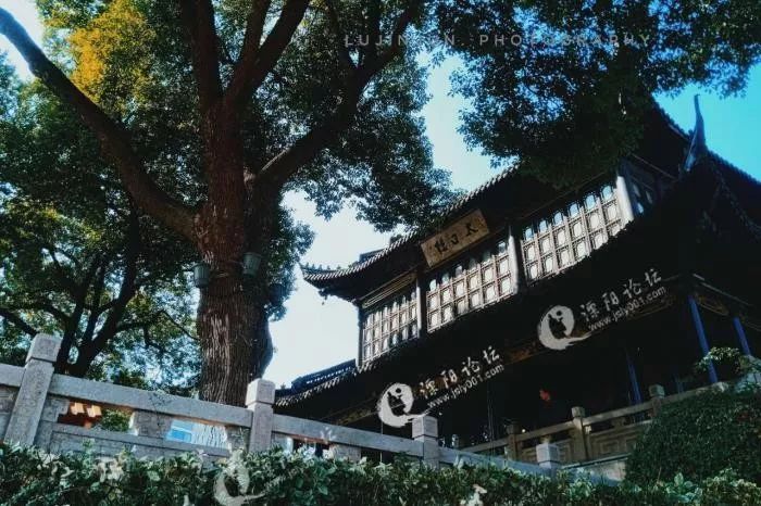 溧阳有多少人口_溧阳有几家太白酒楼(2)