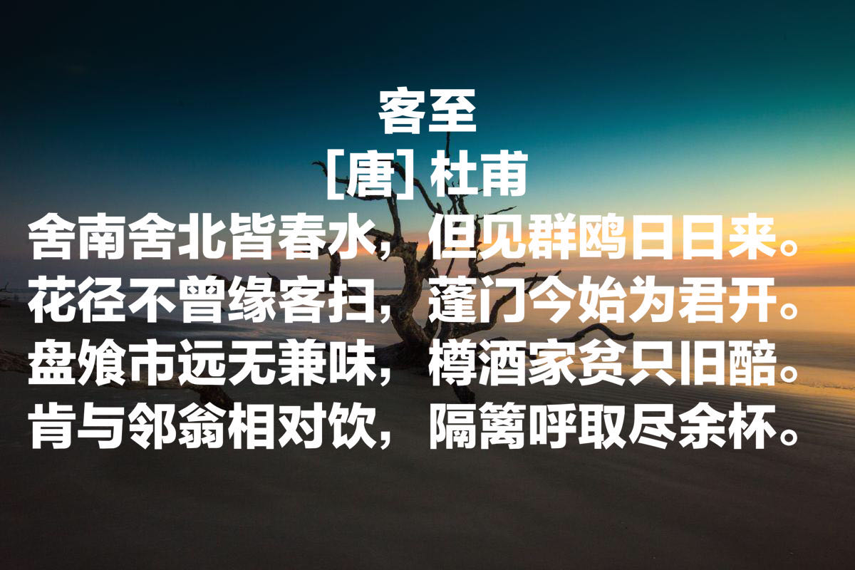 诗圣杜甫最脍炙人口的13首诗句句经典冠绝古今你读过哪首