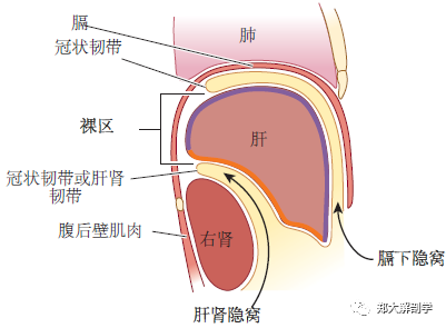 eb90bc933fb84c0cbae5c84284fcc356.png