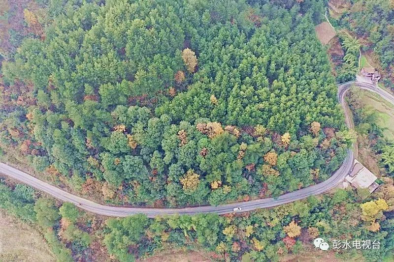 彭水2020年gdp_彭水2021年新城建设