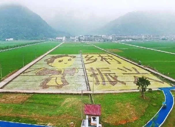 瑞安曹村多少人口_瑞安曹村天井垟风景区(2)