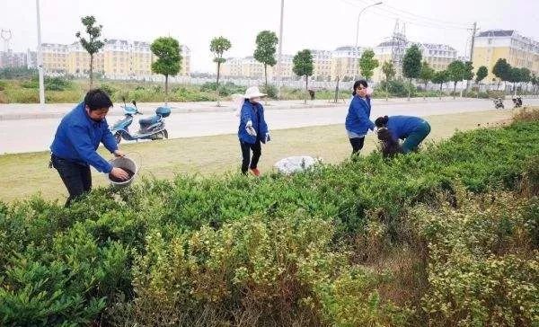 浅析对园林树木施肥的加强认知